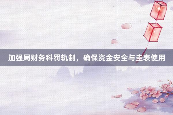 加强局财务科罚轨制，确保资金安全与圭表使用