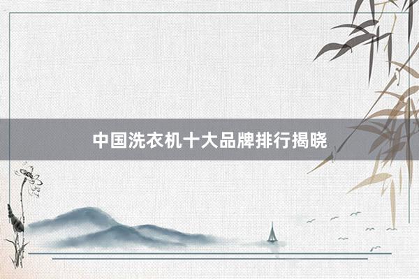 中国洗衣机十大品牌排行揭晓